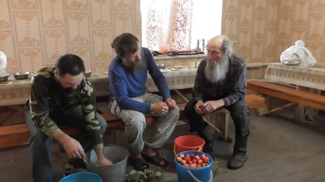 Почему одни болеют морской болезнью, укачивает их до рвоты, а другие. 30. 08. 2018 смотреть онлайн