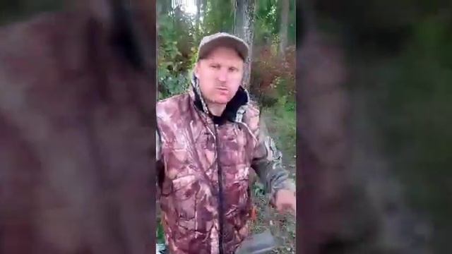 Рыбалка на оби щуки. судак. налим. смотреть онлайн