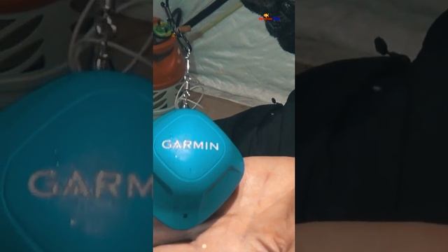 Каким эхолотом Мы ищем рыбу и точку ловли рипуса Зимняя рыбалка #shorts смотреть онлайн