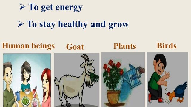 Class 3 : Science - Living and Non Living things смотреть онлайн