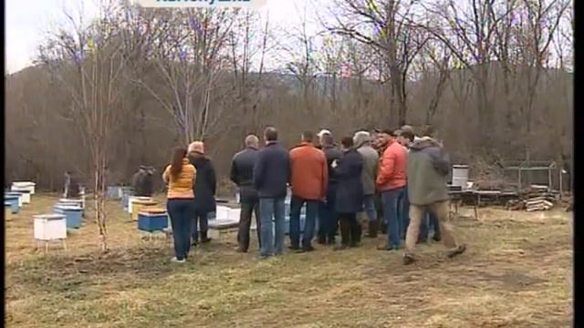 Съезд пчеловодов состоялся в Приморье смотреть онлайн