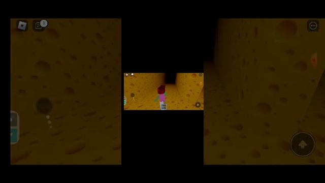 Крыса меня поймала.