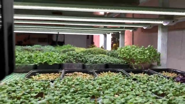 Новости из Заречного. Центр Социальной Помощи «Забота» смотреть онлайн