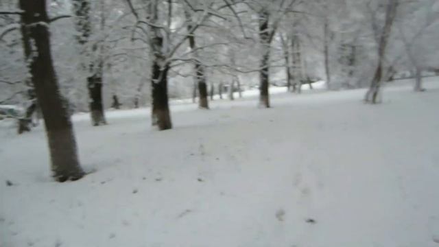 Зимние зарисовки. Снежный плен. #433 смотреть онлайн