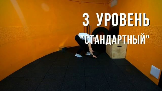 Отжимания от #master_tela смотреть онлайн