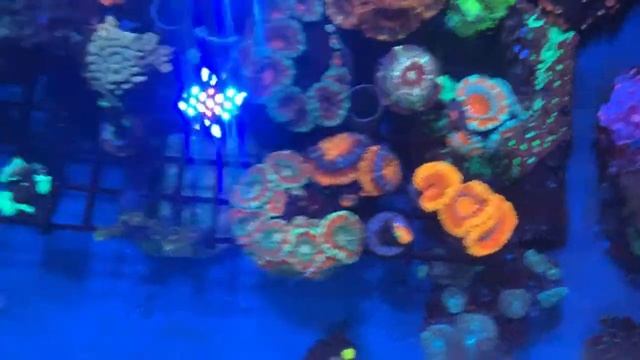 Аквареалка г. Казань смотреть онлайн