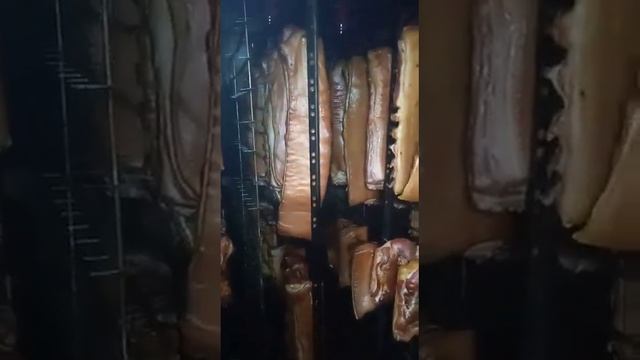 Коптильня Уэк-2/200 Москит смотреть онлайн