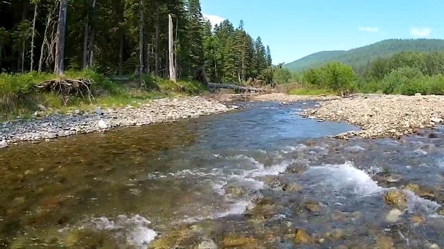 К 100-летию заповедной системы России смотреть онлайн