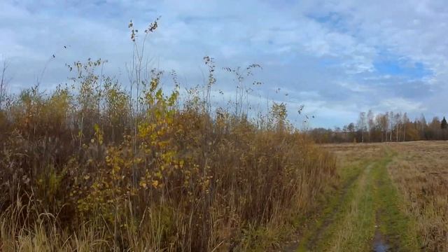 Рейд ПО ДЕРЕВНЯМ детства моего ДЕДА. Лесной Пруд спустя 50 лет!