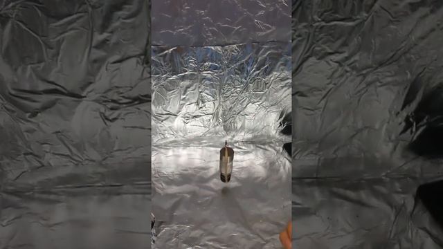 Antigravity Experiment 20mg Weight Loss Observed🤔