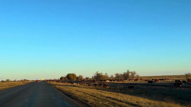 Путешествие на МАШИНЕ•3 700км🚙 (часть 4) Кыргызстан-Казахстан-Россия • Наконец-то мы ДОМА 🏠 смотреть онлайн