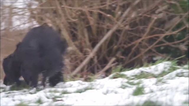 Samsung NX3000 Video Test смотреть онлайн