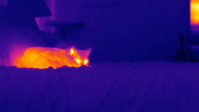 FLIR A655sc - 640x480 Example смотреть онлайн