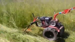 Покос травы роторной косилкой Заря на мотоблоке Агат