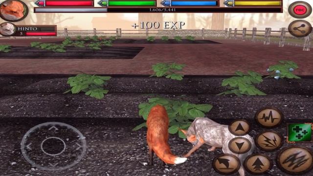 ?Ultimate Fox Simulator- Part 2 -The Farm - By Gluten Free Games - Simulation - IOS/Android