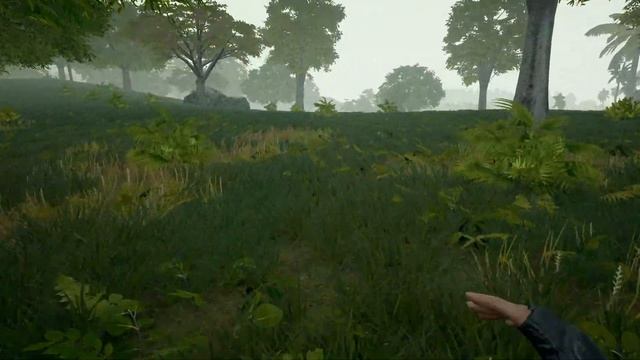 First game using haste смотреть онлайн