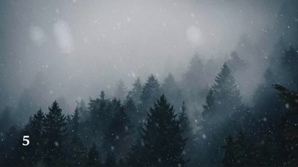 TOP 10 WINTER WALLPAPER FOR WALLPAPER ENGINE | +LINKS