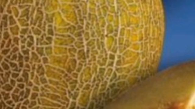 Лучшие сорта европейских дынь смотреть онлайн