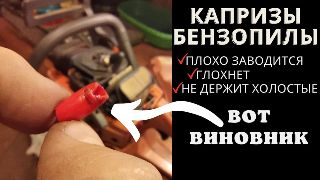 Бензопила ЗАВОДИТСЯ И ГЛОХНЕТ, гуляют обороты - решение. смотреть онлайн