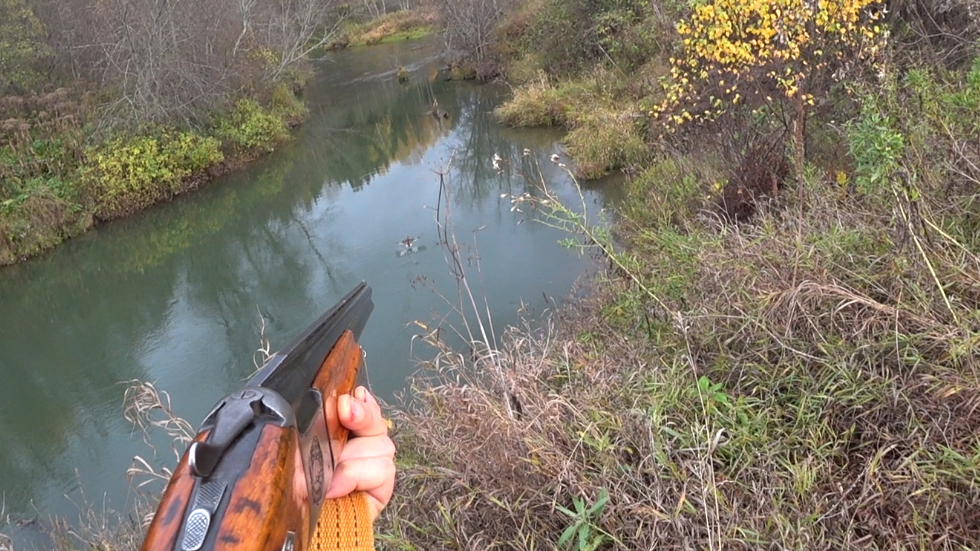 Лучшие выстрелы сезона 2022. Подборка самых ярких моментов на охоте. смотреть онлайн