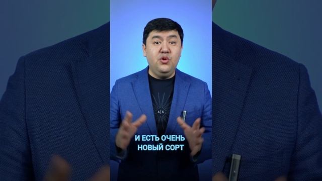 Сладкие сорта клубники смотреть онлайн