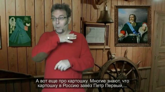 Питер- город дождя. 7 часть. "Пётр Первый и пуговицы". "Всеми забытая репа". смотреть онлайн