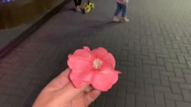 #schipper #картиныпономерам Компания Шипер прислала картину по номерам/гуляем/варю сок/обзор погреб смотреть онлайн