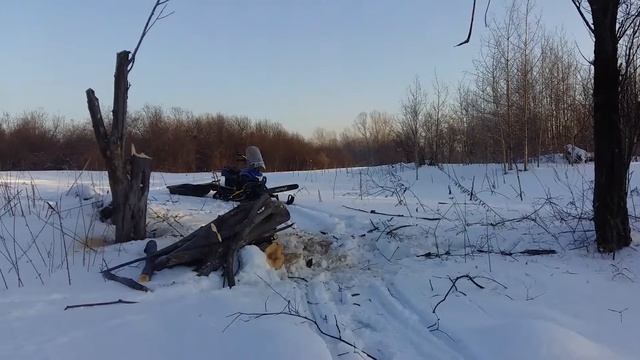 Ирбис динго т 150 за дровами 1