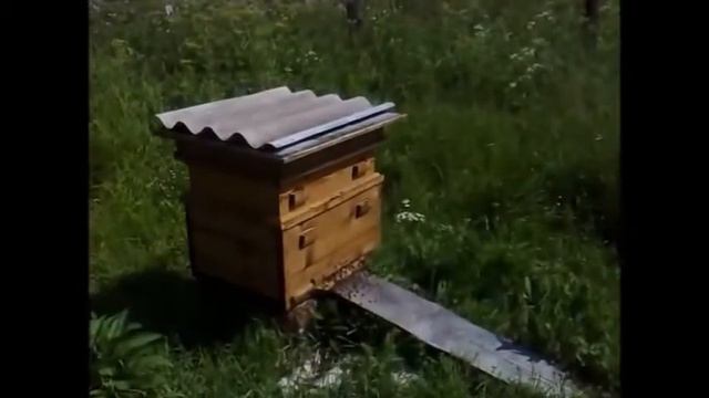 Как все начиналось 1 смотреть онлайн
