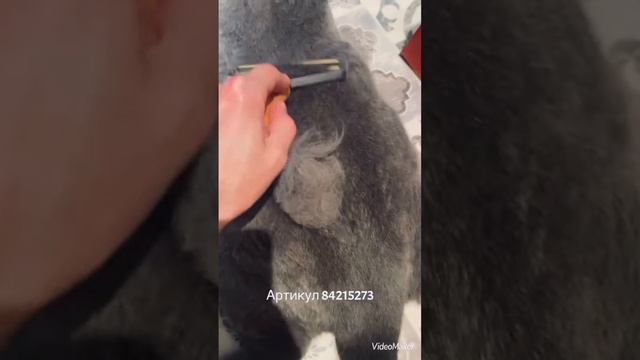 Находка🔥На WILDBERRIES Отзыв Лайфхак Артикул Щетка для чистки КОТА покупки на валберис от шерсти