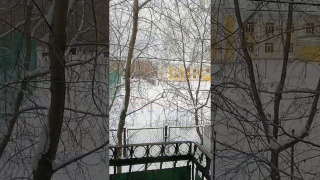 Зима...синички прилетели на сало. смотреть онлайн