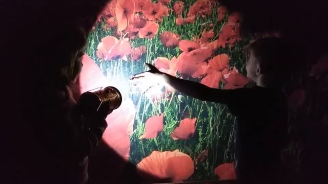 Обзор складного кемпингового фонаря с диско лампой и с эффектом пламени MAGIC COOL FLAME LAMP смотреть онлайн