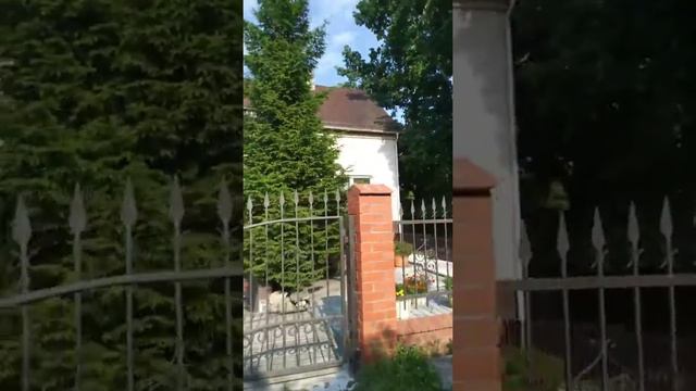 Прогулки по Калининграду. Красивые дома смотреть онлайн