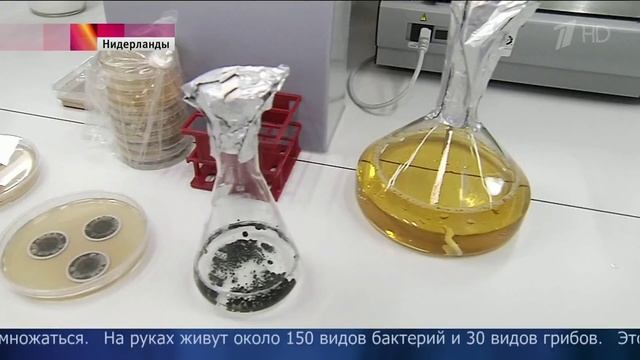 Зоопарк микробов в Амстердаме (Невидимый мир) смотреть онлайн