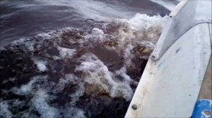 Удлиненная Романтика пробный выход на воду