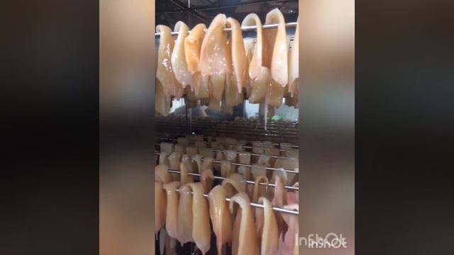 23 сентября 2021 г.