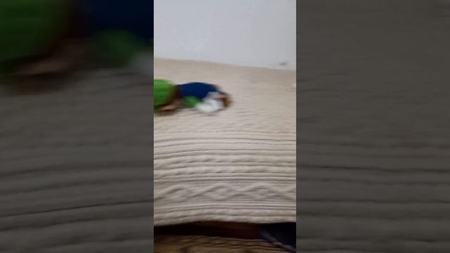 неудачные съёмки с третьей серии с фильма "Зомби-Вселенная"🤨😈👍🤣🤣🤣🤣🤣🤣🤣🤣🤣🤣🤣🤣🤣🤣🤣🤣🤣🤣🤣🤣🤣🤣🤣🤣🤣🤣🤣🤣🤣🤣🤣🤣🤣🤣🤣🤣🤣 смотреть онлайн