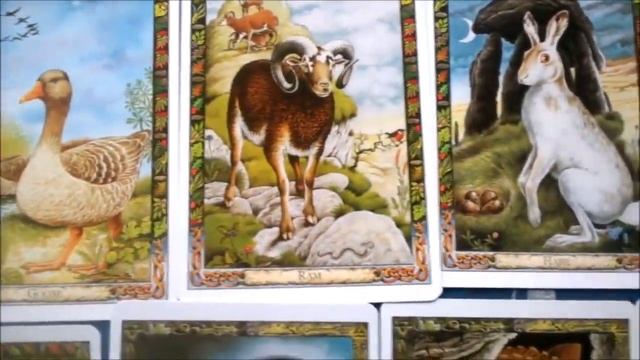 THE DRUID ANIMAL ORACLE DAY 547 OF FALL - LOG - MAS смотреть онлайн