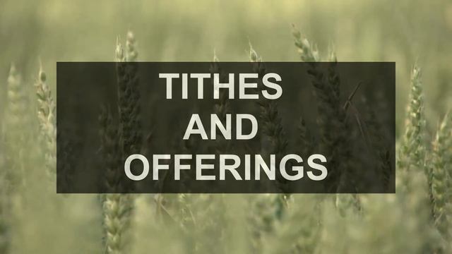 MOBC Norfolk Sunday Service Jan. 28, 2024 - Christian Education Ministry Anniversary смотреть онлайн