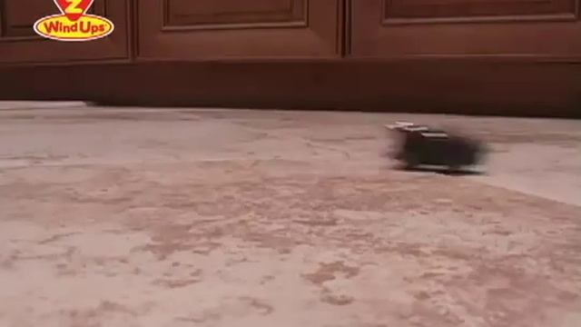 Спортивный автомобиль Родстер супер С Z WindUps смотреть онлайн