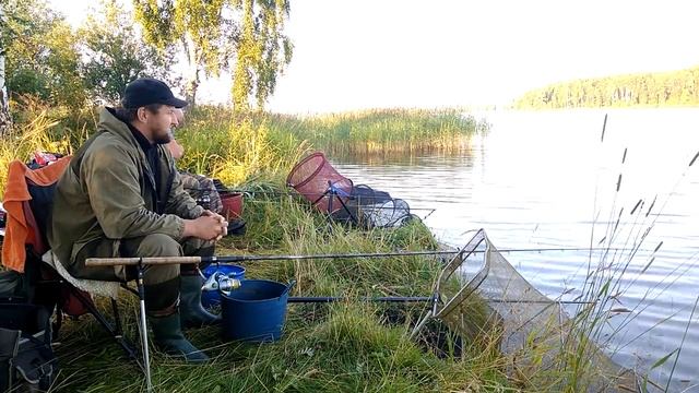 Фидерная рыбалка на Яузском водохранилище. смотреть онлайн