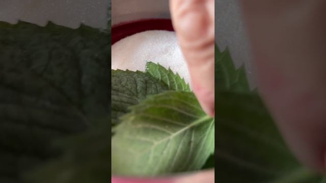 Солили Перчили