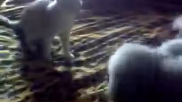 Вот такая вот дружба с детства смотреть онлайн