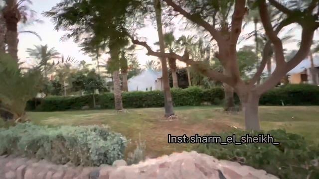 Naama bay для новичков , а для «бывалых» ностальгия. Экскурсии в Шарм Эль Шейх от Лены смотреть онлайн