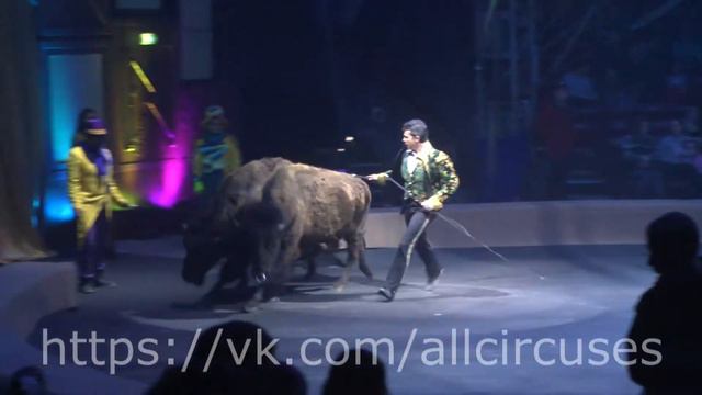 Цирк Кобзов Харьков 2016 WOOZU - Бизоны (12/19) Circus 馬戲團 смотреть онлайн