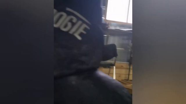 В гостях у Морозова Николая Николаевича на промышленной пасеке под Волоколамском. смотреть онлайн