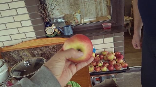 За саженцами В Мичуринск часть № 2, В гостях у Исаева! Подвои и маточники, сорта: Лигол, Хани Крисп смотреть онлайн