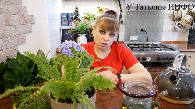 ЗЕЛЕНЫЙ ЧАЙ для растений / Чайная заварка в качестве удобрения для комнатных цветов. смотреть онлайн