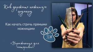 Как держать ножницы грумеру