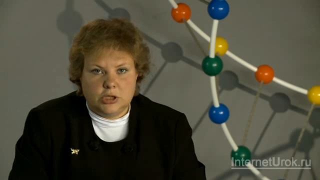 Наследственная (генотипическая) изменчивость. Видеоурок по биологии 9 класс смотреть онлайн